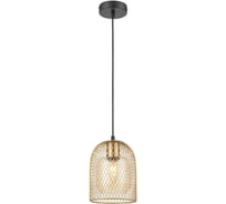 Подвесной светильник Vele Luce Diodor VL6404P01