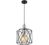 Подвесной светильник Vele Luce Evans VL4032P01