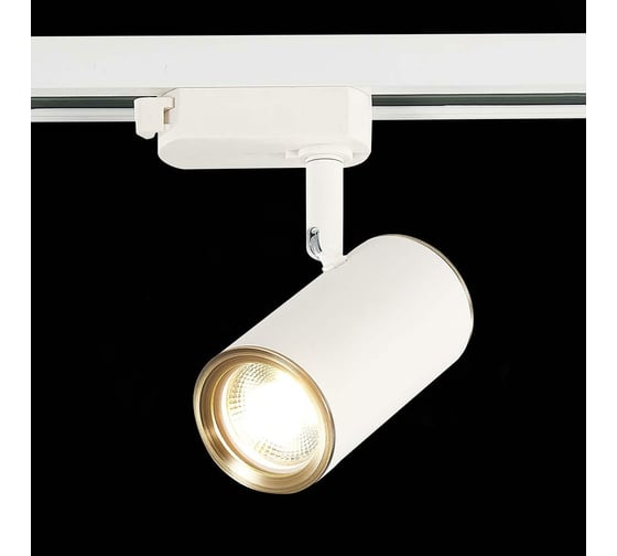 Трековый светильник ST LUCE CROMI ST301.536.01