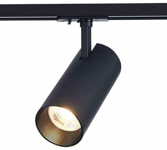 Трековый светильник ST LUCE MONO ST350.446.20.36