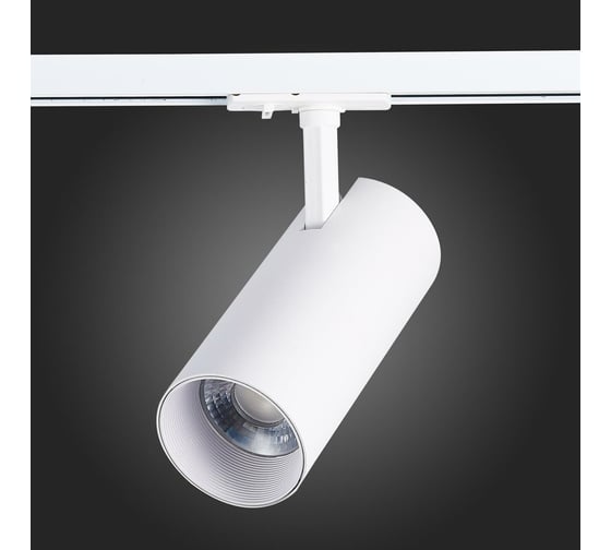 Трековый светильник ST LUCE MONO ST350.536.30.36