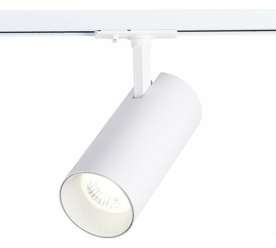 Трековый светильник ST LUCE MONO ST350.546.30.36