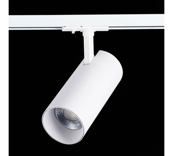 Трековый светильник ST LUCE MONO ST350.546.30.36