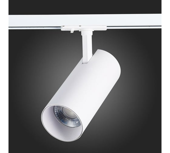 Трековый светильник ST LUCE MONO ST350.546.30.36