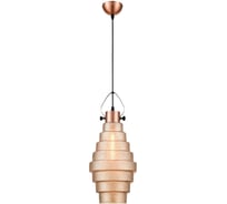 Подвесной светильник Vele Luce Genio VL5404P11