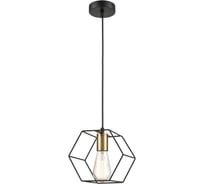 Подвесной светильник Vele Luce Luca VL6232P01