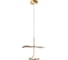 Подвесной светодиодный светильник LOFT IT Aronos 10395 1