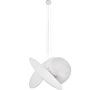 Подвесной светодиодный светильник LOFT IT Levante 10392/800