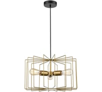 Подвесной светильник Vele Luce Mascot VL5334P03