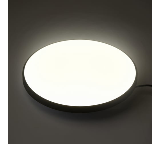 Светильник светодиодный настенно-потолочный Jazzway PPB OPAL 36W 4000K черный d300x55 IP20 5065376