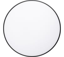 Светильник светодиодный настенно-потолочный Jazzway PPB OPAL 36W 6500K черный d300x55 IP20 5065390