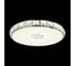 Настенно-потолочный светильник ST LUCE IMPATO SL821.122.01 2