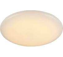 Настенно-потолочный светильник ST LUCE LISCIO SL875.062.01