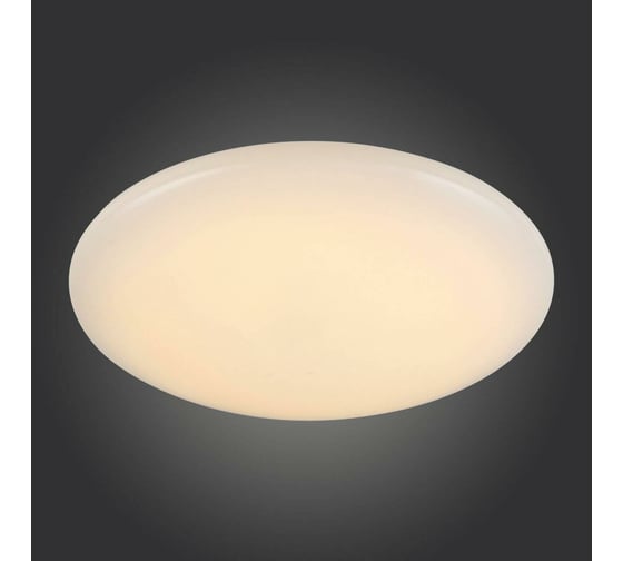Настенно-потолочный светильник ST LUCE LISCIO SL875.062.01