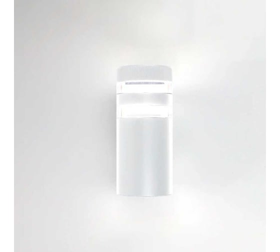 Фасадный уличный светильник накладной General Lighting Systems с двойным боковым рассеивателем серия Игнис, GWL-Е27-M-IP65 662593