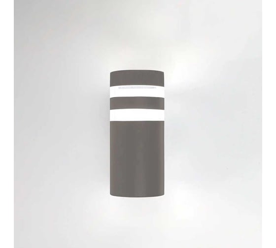 Фасадный уличный светильник накладной General Lighting Systems с двойным боковым рассеивателем серия Игнис, GWL-Е27-M-IP65 662594