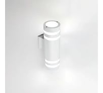 Фасадный уличный светильник накладной General Lighting Systems с двойным боковым рассеивателем серия Игнис, GWL-2Е27-M-IP65 662595