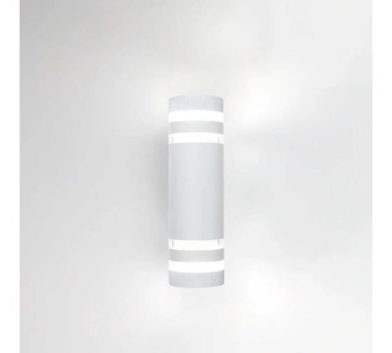 Фасадный уличный светильник накладной General Lighting Systems с двойным боковым рассеивателем серия Игнис, GWL-2Е27-M-IP65 662595