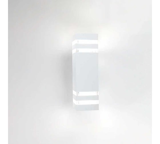 Фасадный уличный светильник накладной General Lighting Systems с двойным боковым рассеивателем серия Гратус, GWL-2Е27-M-IP65 662599