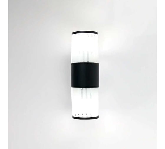 Фасадный уличный светильник накладной General Lighting Systems серия Кальдера, GWL-2E27-M-IP65, под 2 лампы Е27 до 50Вт, металл 662588