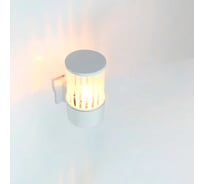 Фасадный уличный светильник накладной General Lighting Systems серия Кальдера, GWL-E27-M-IP65, под лампу Е27 до 50Вт, металл 662661