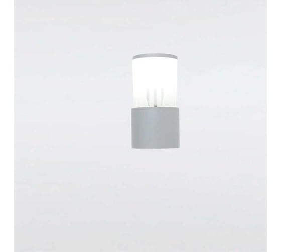 Фасадный уличный светильник накладной General Lighting Systems серия Кальдера, GWL-E27-M-IP65, под лампу Е27 до 50Вт, металл 662661
