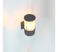 Фасадный уличный светильник накладной General Lighting Systems серия Кальдера, GWL-E27-M-IP65, под лампу Е27 до 50Вт, металл 662662