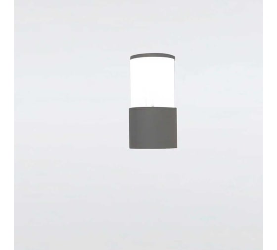 Фасадный уличный светильник накладной General Lighting Systems серия Кальдера, GWL-E27-M-IP65, под лампу Е27 до 50Вт, металл 662662