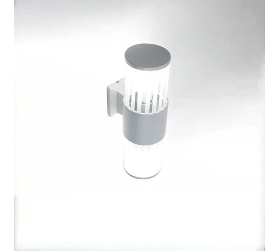 Фасадный уличный светильник накладной General Lighting Systems серия Кальдера, GWL-2E27-M-IP65, под 2 лампы Е27 до 50Вт, металл 662663