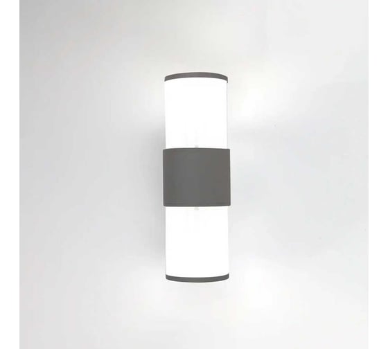 Фасадный уличный светильник накладной General Lighting Systems серия Кальдера, GWL-2E27-M-IP65, под 2 лампы Е27 до 50Вт, металл 662664