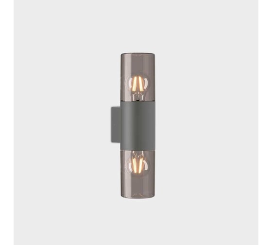 Фасадный уличный светильник накладной General Lighting Systems серия Элегант, GWL-2E27-IP65, под 2 лампы Е27 до 50Вт, металл 662321