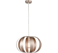 Подвесной светильник Vele Luce Ophir VL5324P21