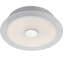 Настенно-потолочный светильник ST LUCE PERLE SL471.502.01