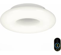 Потолочный светильник ST LUCE ALBO SL902.532.01D