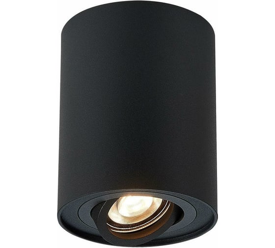 Потолочный светильник ST LUCE TORUS ST108.417.01 1
