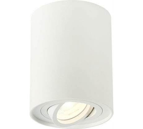 Потолочный светильник ST LUCE TORUS ST108.517.01