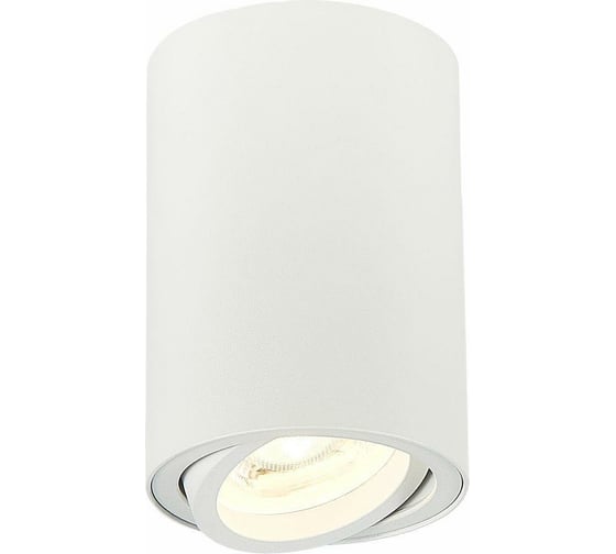 Потолочный светильник ST LUCE TORUS ST108.507.01