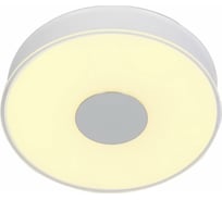 Потолочный светильник ST LUCE SEMPLICITA SL473.052.01D