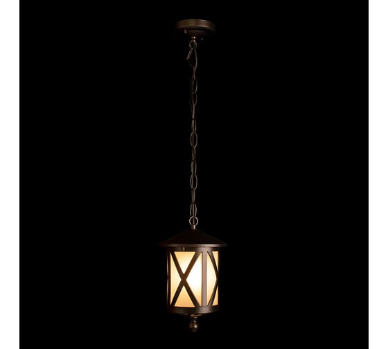 Уличный подвесной светильник LOFT IT Ravenna 100016P