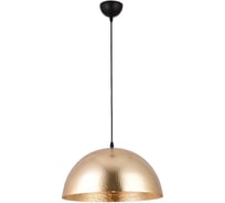 Подвесной светильник Vele Luce Palmer VL6184P01