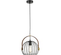 Подвесной светильник Vele Luce Pasquale VL6252P01