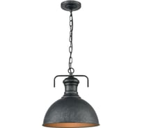 Подвесной светильник Vele Luce Ferro VL6012P11