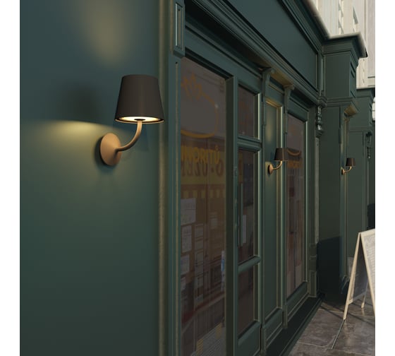 Уличный настенный светильник ODEON LIGHT IP65 LED 7W ELIN 4608/7WL