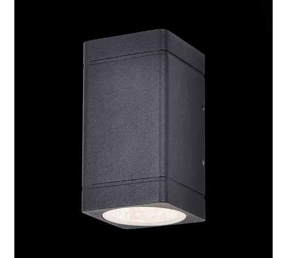 Настенный уличный светильник ST LUCE COCTOBUS SL563.401.02