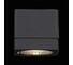 Настенный уличный светильник ST LUCE COCTOBUS SL563.401.01 2