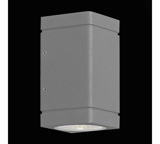 Настенный уличный светильник ST LUCE COCTOBUS SL563.701.02