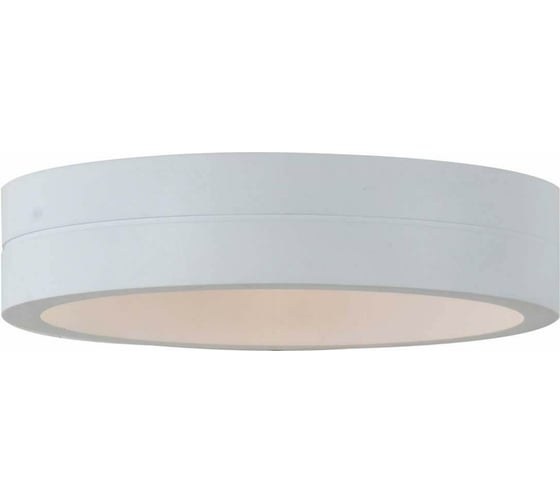Настенный уличный светильник ST LUCE MOLTO SL562.501.01