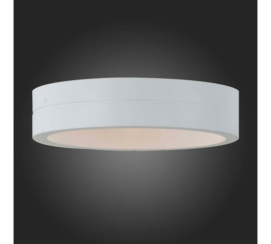 Настенный уличный светильник ST LUCE MOLTO SL562.501.01
