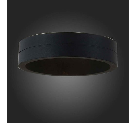 Настенный уличный светильник ST LUCE MOLTO SL562.401.01