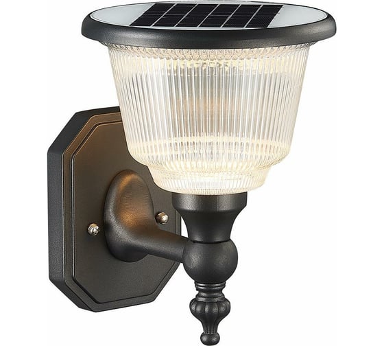 Настенный уличный светильник ST LUCE SOLARIS SL9502.401.01